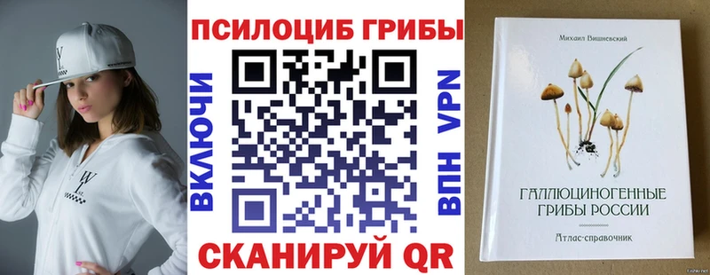 Псилоцибиновые грибы Psilocybe  MEGA как войти  Георгиевск  дарнет шоп 