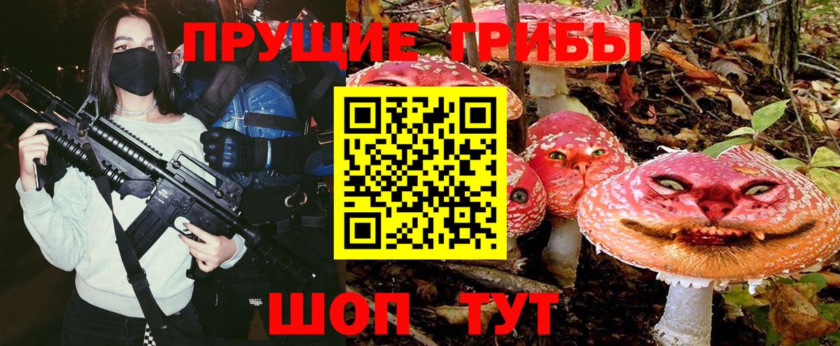 Псилоцибиновые грибы мицелий Георгиевск