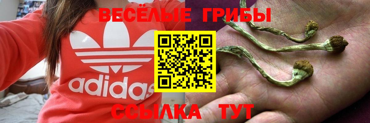 Псилоцибиновые грибы MAGIC MUSHROOMS Георгиевск