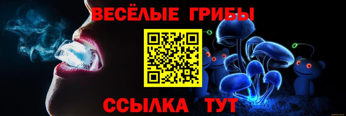 Псилоцибиновые грибы мицелий  Псилоцибиновые грибы Cubensis  Георгиевск 