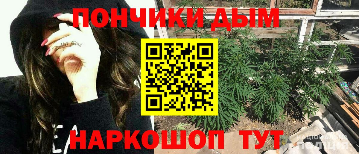 Каннабис планчик  Георгиевск  Конопля планчик  Марихуана Bruce Banner  МАРИХУАНА ГИДРОПОН 